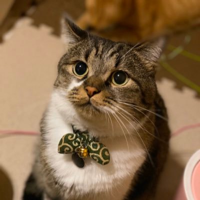 Profile Picture of MikaINOUE (@MikaINOUE18) on Twitter