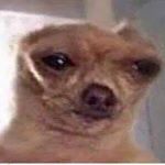 Profile Picture of Mark Rowlands (@markrowlands180) on Instagram