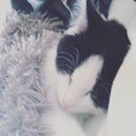 Profile Picture of Macy-Beth (@macybethmckeown) on Instagram