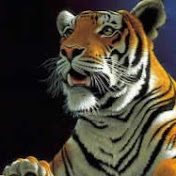 Profile Picture of DANIEL PONTE (@danielponte4432) on Youtube