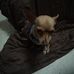 Profile Picture of Jeremiah Mullins (@jeremiah.mullins.5602) on Facebook