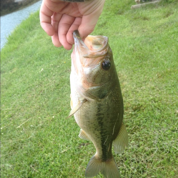 Profile Picture of Colby Newton (@colbynewton1) on Poshmark