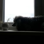 Profile Picture of gabriella terry (@terry96967nypm) on Instagram