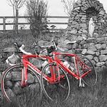 Profile Picture of Amy Farrell (@amyfarrell1) on Flickr