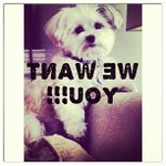 Profile Picture of Bobbie Nichols (@bwithdudeluv) on Instagram