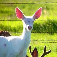 Profile Picture of Jimmy Harrington (@jimmy-harrington-3) on Quora