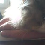 Isabella Lattanzi - Instagram Profile Picture of Isabella Lattanzi (@i.lattanzi) on Instagram