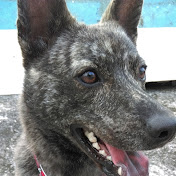 Profile Picture of Ya-Hui Huang (@jona1008) on Youtube