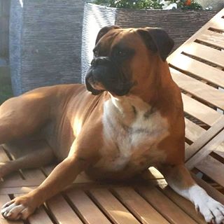 Profile Picture of Ruby Adams (@ruby.adams.39395) on Facebook