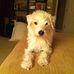 Profile Picture of Jerry Barron (@jerry.barron.712) on Facebook