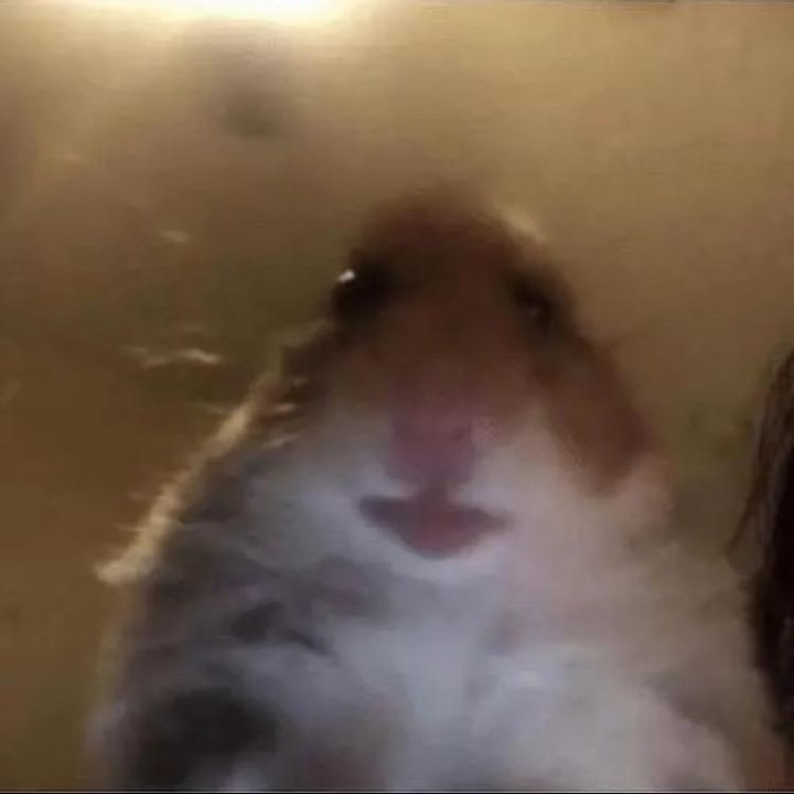 Profile Picture of wily nelson (@willynelson1) on Tiktok