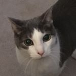 Profile Picture of JaneTalbert (@jane.talbert6767) on Instagram