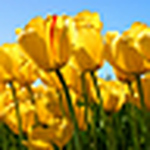 Profile Picture of Eva Alvarez (@eva_92) on Flickr