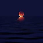 Profile Picture of Jason Marquis (@jmarquis002) on Instagram