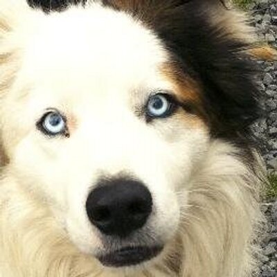 Profile Picture of Edward Morgan (@EdmogFW) on Twitter