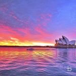 Profile Picture of Jason Mercurio (@mop20361) on Instagram