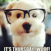 Profile Picture of Jason High (@jasonhigh7931) on Youtube