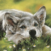 Profile Picture of Jerry Weber (@jerryweber8506) on Youtube