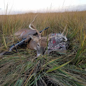 Profile Picture of Brian Batulis (@brianbatulis263) on Youtube