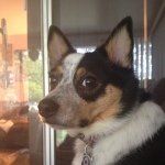 Profile Picture of Travis Steckroth (@tsteckroth) on Instagram