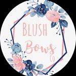 Profile Picture of Tyra Davis (@blushbowssco) on Instagram