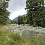 Profile Picture of Alex Goudy (@fifty_ss_) on Instagram