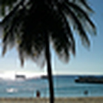 Profile Picture of Sol Morales (@solimarmorales) on Flickr