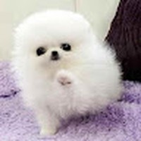 Profile Picture of Navee Kim (@navee-kim) on Quora