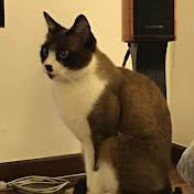 Profile Picture of Alex Kent (@alexkent571) on Youtube