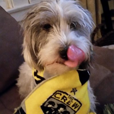 Profile Picture of Adam Rocco (@roccoaj) on Twitter