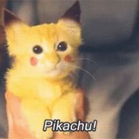 Profile Picture of Alexander Rothman (@alexrothman74) on Twitter