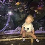 Profile Picture of Louise Cavanagh (@cavanagh_louise) on Instagram