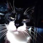 Profile Picture of Steven McCafferty (@steven.mccafferty.18) on Instagram