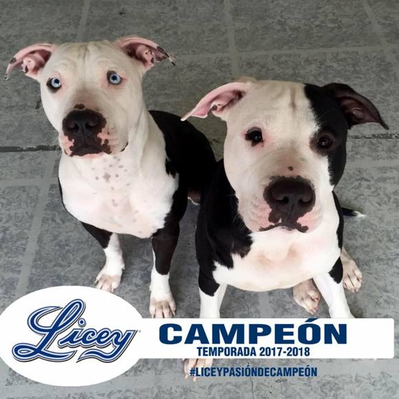 Nathanael Francisco - Poshmark Profile Picture of Nathanael Francisco (@nathanaelf) on Poshmark