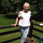 Profile Picture of Barbara Shapiro (@shapiro830) on Instagram