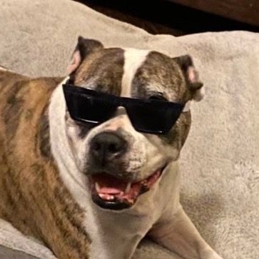 Profile Picture of Josiah (@jorgemorge) on Tiktok