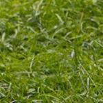 Joseph moisa - Instagram Profile Picture of Joseph moisa (@moisajoseph) on Instagram