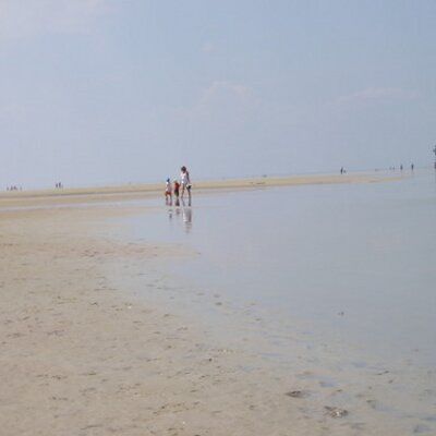 Profile Picture of Robin (@robinoxman) on Twitter