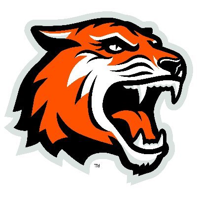 Profile Picture of RIT Arenas (@RITArenas) on Twitter