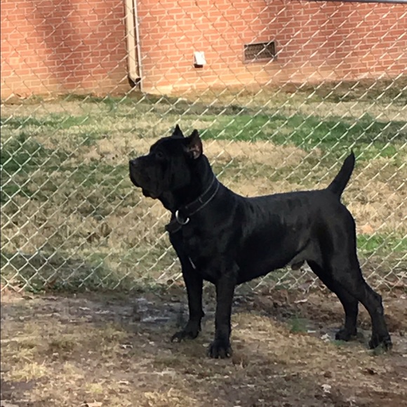 Profile Picture of Tyson Sifford (@hollywoodstylz) on Poshmark