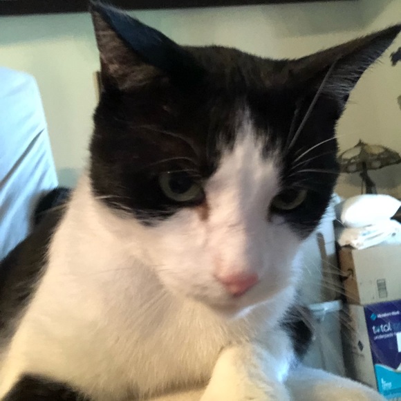 Profile Picture of Tamara Ivey (@tamara_ivey) on Poshmark