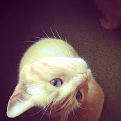 Profile Picture of James McLeod (@jamesmcleod2728) on Youtube