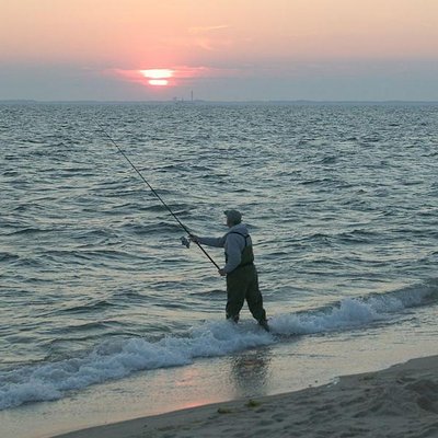 Profile Picture of Migue Melero (@MikeMelero) on Twitter