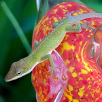 Profile Picture of Glenn Hoskins (@sbgglenn) on Flickr