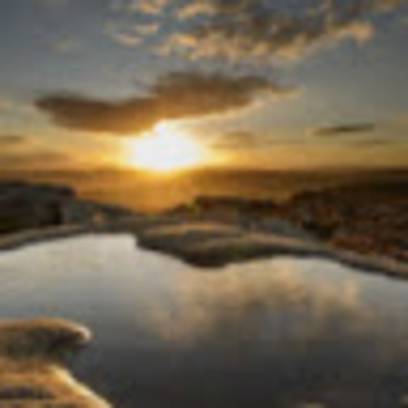 Profile Picture of Joseph Ahrens (@josephahrens62) on Poshmark