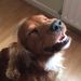 Profile Picture of J Dillon (@dilloneverton) on Pinterest