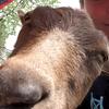 Profile Picture of David Engelke (@@david_engelke) on Tiktok