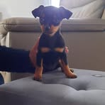 Profile Picture of Michele Crussière (@michele.crussiere) on Facebook