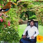 Profile Picture of Arun Kashyap Kashyap (@k.arunkashyap) on Instagram