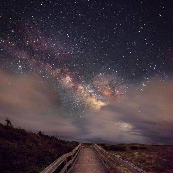 Profile Picture of Nino Kamladze (@nkamladze) on Poshmark